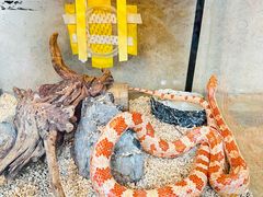 -上海自然博物馆