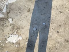 -永乐饭庄(安德路店)