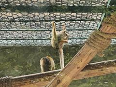 -栾川竹海野生动物园