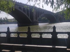 -洛阳市隋唐城遗址植物园