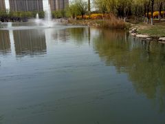 -前关湿地公园