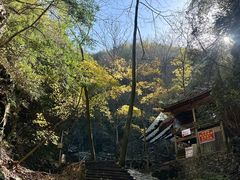 -藏龙百瀑风景区