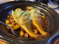 -有喜胶东小馆(超极合生汇太申祥和店)