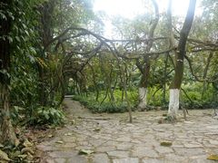 -广西壮族自治区药用植物园