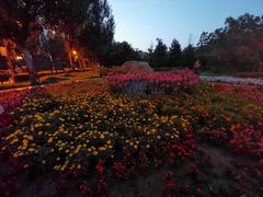 -长春公园(普阳街道)