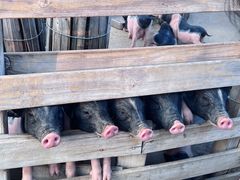 -祥源·阜阳生态乐园