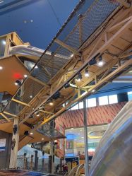 -卡通尼·Safari非洲探索乐园·生日会(金桥国际商业广场店)