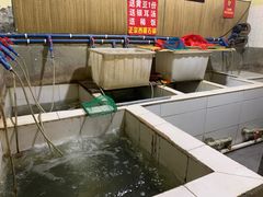 -老船夫石锅苗苗鱼·老字号(三道堰总店)