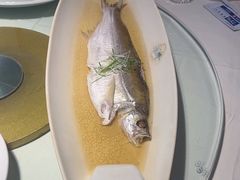 -席家花园(巨鹿花园店)