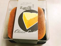 乳酸菌芝士蛋糕-林记开心动物奶油生日蛋糕(江南春晓店)
