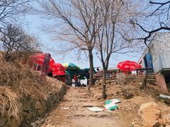 -阳台山自然风景区