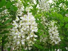 -水磨沟环境自然保护区