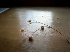 -长颈鹿咖啡(大学路店)