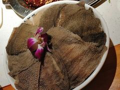 -大龙燚火锅(春熙店)