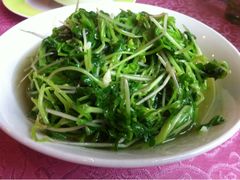 iphone_upload_pic-披云山庄