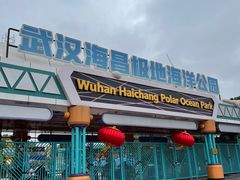 -海合安武汉极地海洋公园