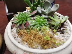 -南京大牌档(济南万象城店)