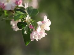 -海棠花溪(元大都城垣遗址公园)
