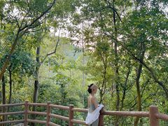 -火炉山森林公园