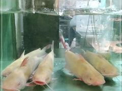 -蛙鱼道美蛙鱼自助火锅(新耍都店)