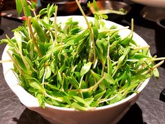 三叶翠-龙门养心粥火锅(祥恒广场店)