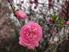 -城市运动公园(未央区)