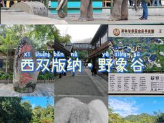 -野象谷景区