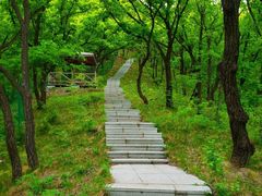 -长春市南湖公园