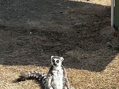 -无锡动物园·太湖欢乐园