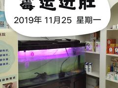 -特一安24小时宠物医院·骨科·中兽医