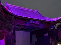 -绳金塔