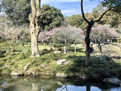 -杭州植物园