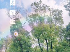 -嘉北郊野公园