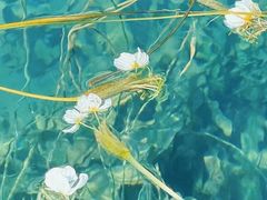 -丽江泸沽湖景区