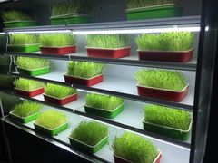 -番食园鲜食火锅(高新店)