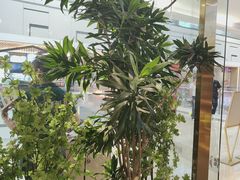 -吴家·非遗淮扬小馆(镇江万达广场店)