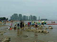 android_upload_pic-东戴河风景区-止锚湾