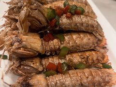 -华盛丰温州大排档(东三环南路店)