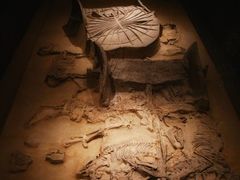 -北京大葆台遗址博物馆