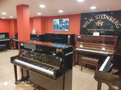 -柏斯琴行(汾阳店)