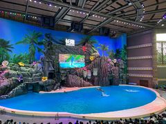 -珠海长隆海洋王国