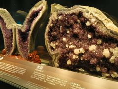 -正佳自然科学博物馆