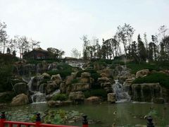 android_upload_pic-秀丽东方