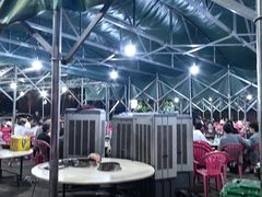 -霞姐屯昌枫木香草鸭店(海螺店)