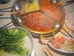 -小龙坎火锅(全球旗舰店)