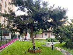 -亮马河饭店翠雅咖啡厅