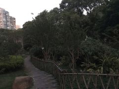 -晓港公园