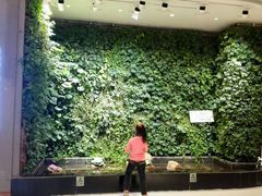 -宴秋杭州菜(锦艺城店)