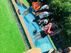 -汪说喵讲宠物乐园宠物酒店(红星美凯龙店)