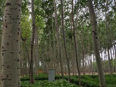 -仁和公园(顺义区)